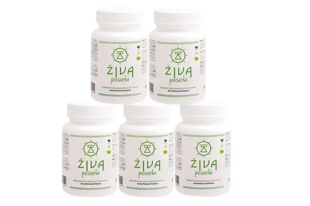 ŽIVA regena 5buc AMBALAJ AVANTAJOS