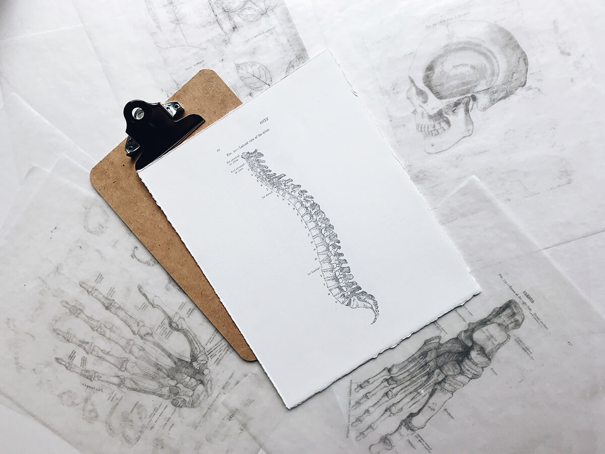 Imaginea coloanei vertebrale - curburi fiziologice