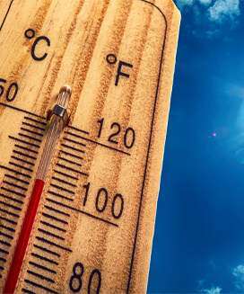 Cum masăm la temperaturi tropicale Cum masăm la temperaturi tropicale
